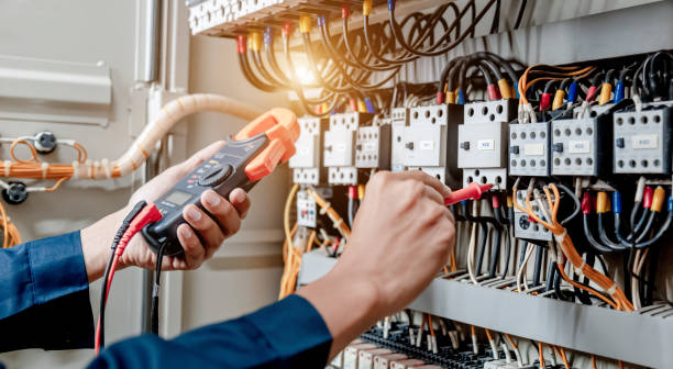 Best Affordable Electrician  in Elsa, TX